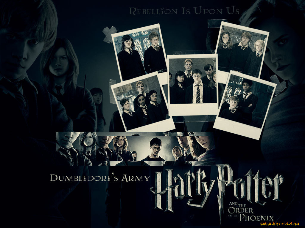 harry, potter, , , and, the, order, of, phoenix